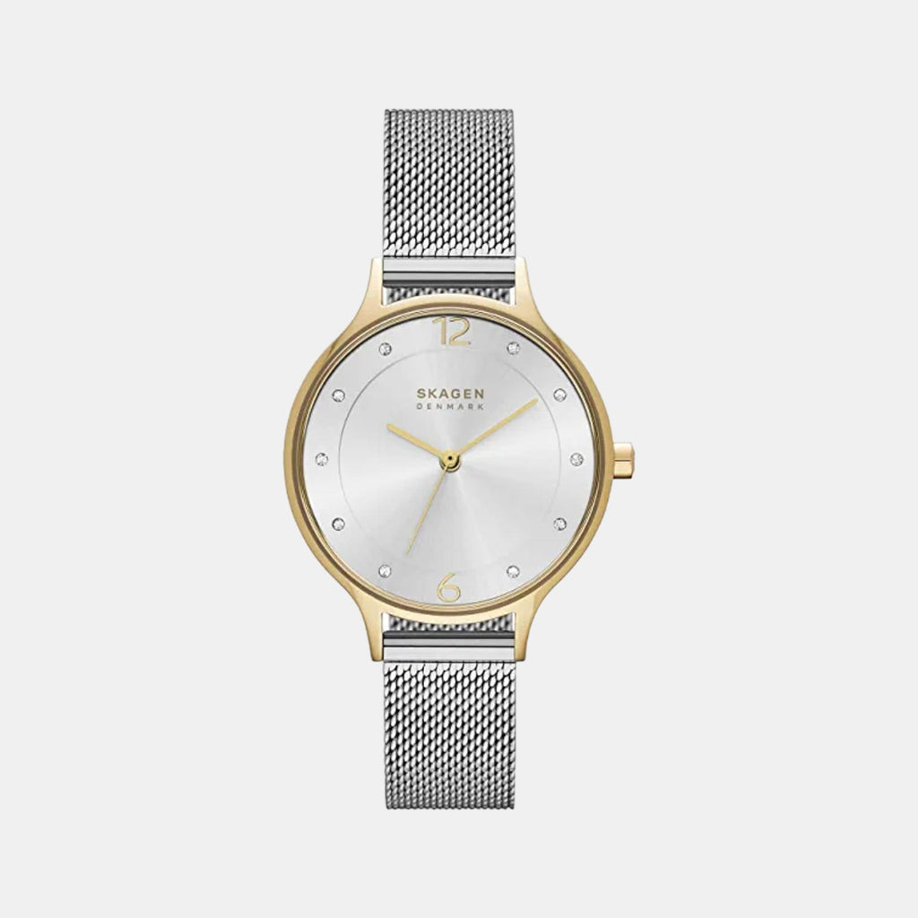 Skagen Round Silver Analog watch
