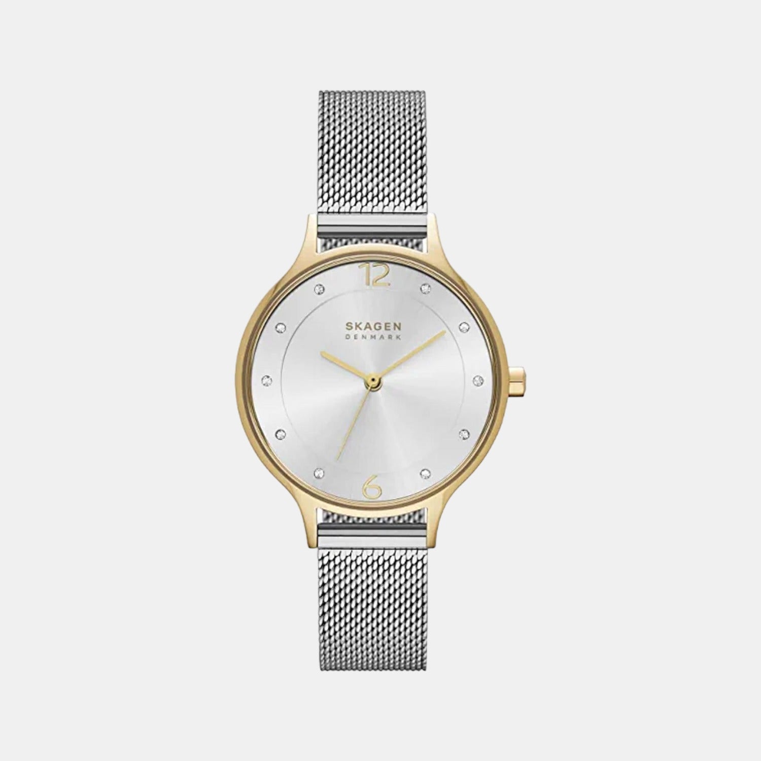 Skagen Round Silver Analog watch