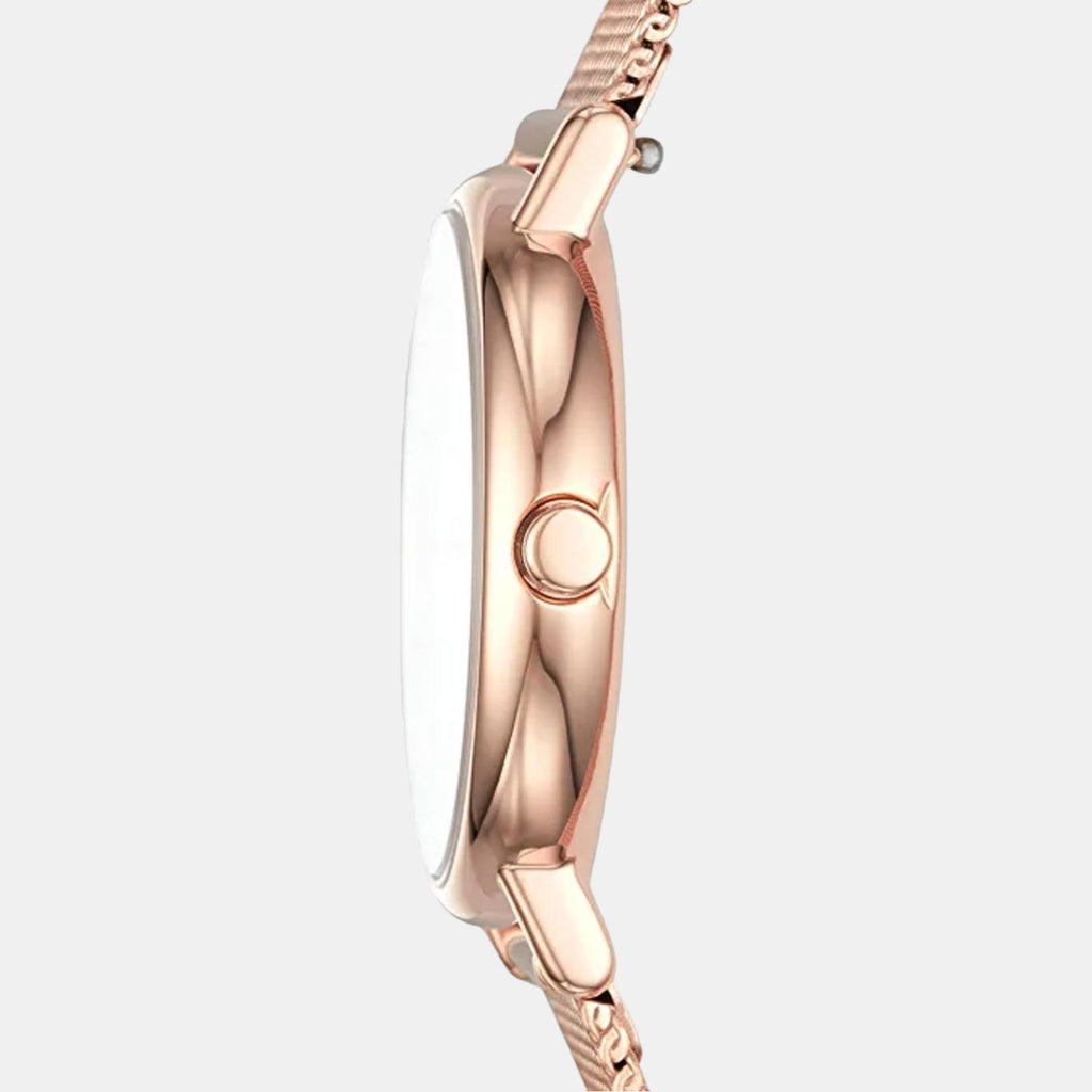 Skagen 30 mm Round Quartz watch