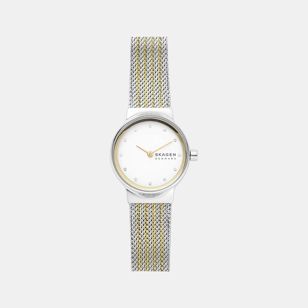 Skagen Round Silver Analog watch