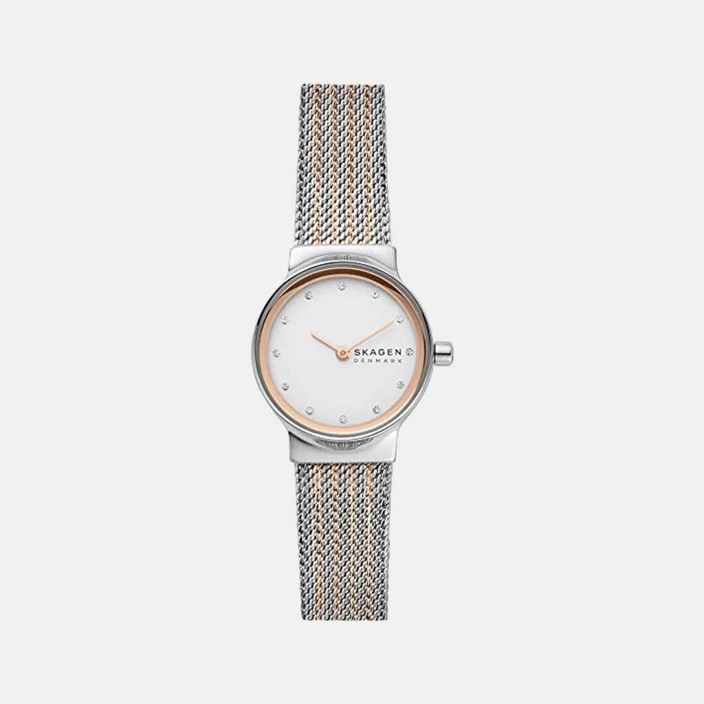 Skagen Round Silver Analog watch