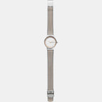 Skagen Stainless Steel Round watch