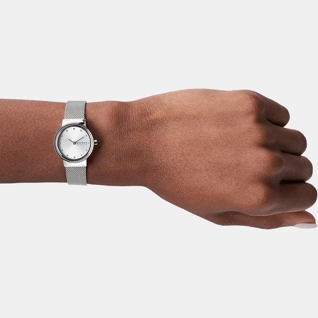 Skagen Stainless Steel Silver watch