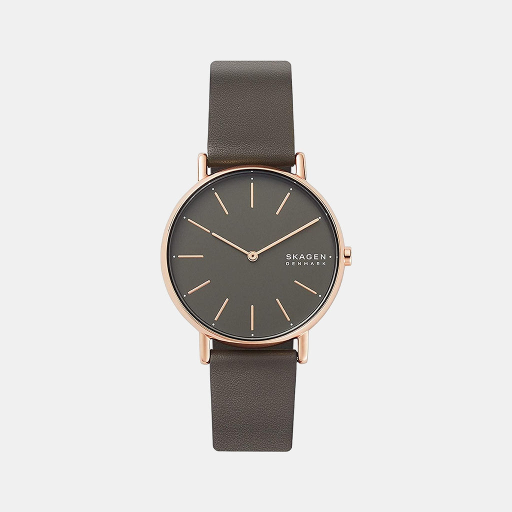 Skagen Round Grey Analog watch