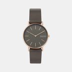 Skagen Round Grey Analog watch