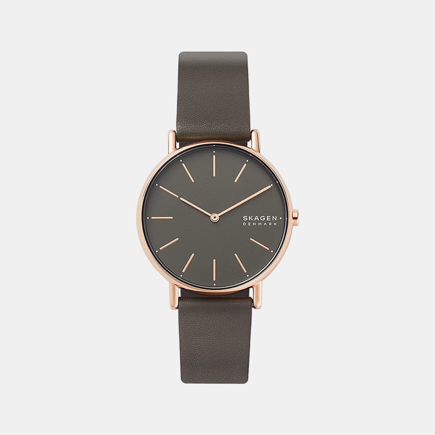 Skagen Round Grey Analog watch