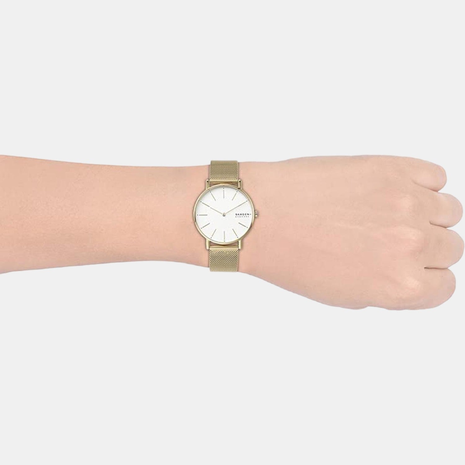 Skagen Stainless Steel Round watch