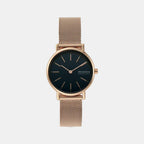 Skagen Round Blue Analog watch