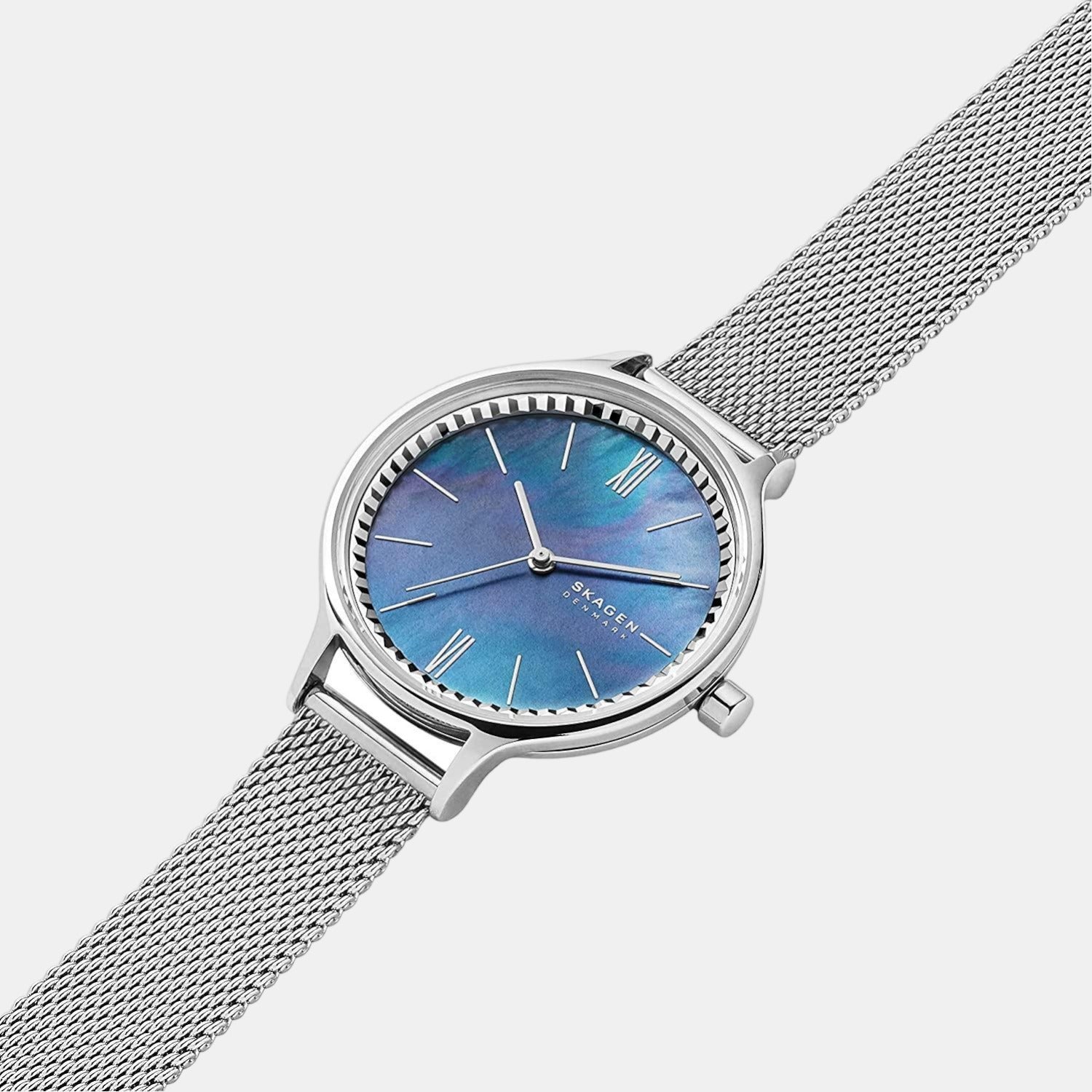 Skagen Stainless Steel Round watch
