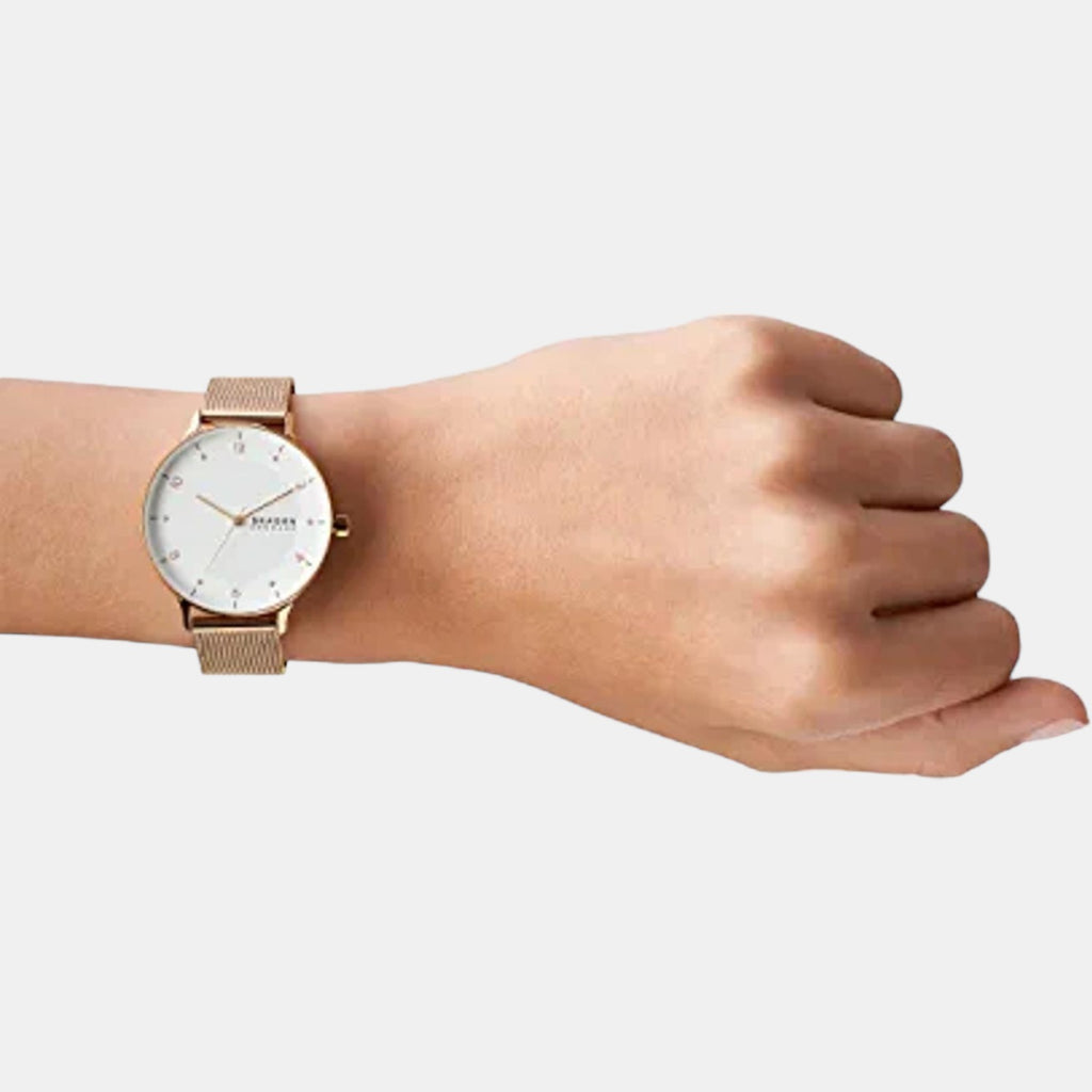 Skagen Stainless Steel Round watch