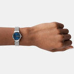 Skagen Stainless Steel Round watch