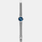 Skagen Stainless Steel Blue watch