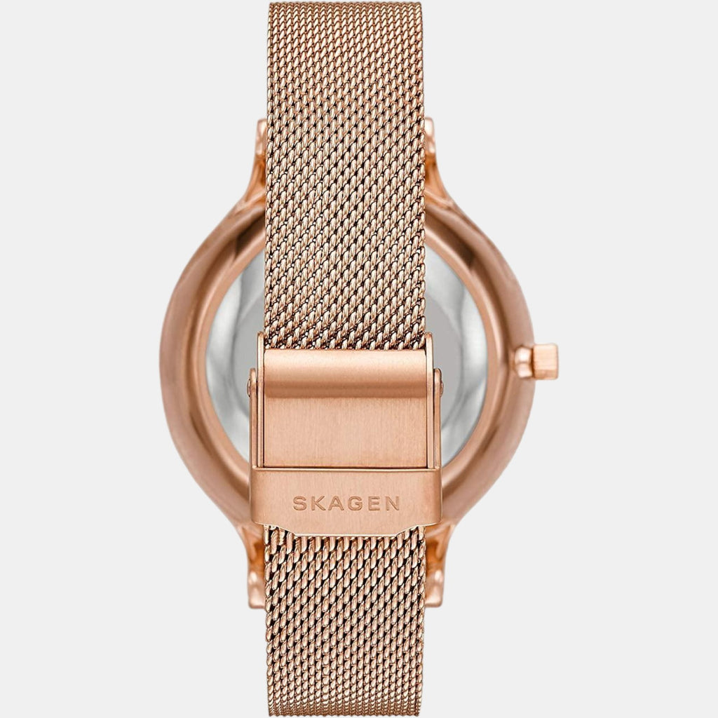 Skagen Stainless Steel Round watch