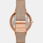 Skagen Stainless Steel Round watch