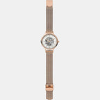 Skagen Stainless Steel Mother Of Pearl watch