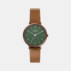 Skagen Round Green Analog watch
