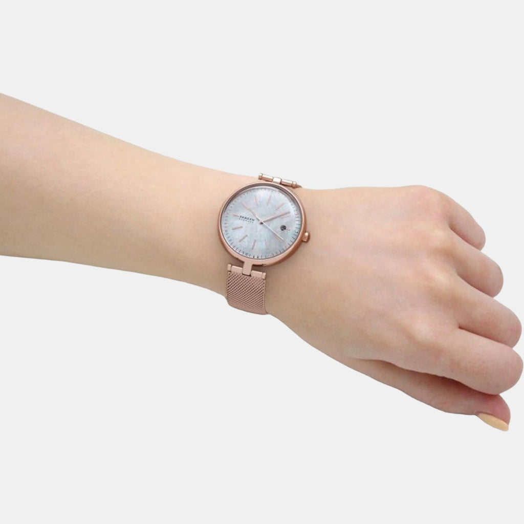 Skagen Stainless Steel Round watch