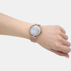 Skagen Stainless Steel Round watch
