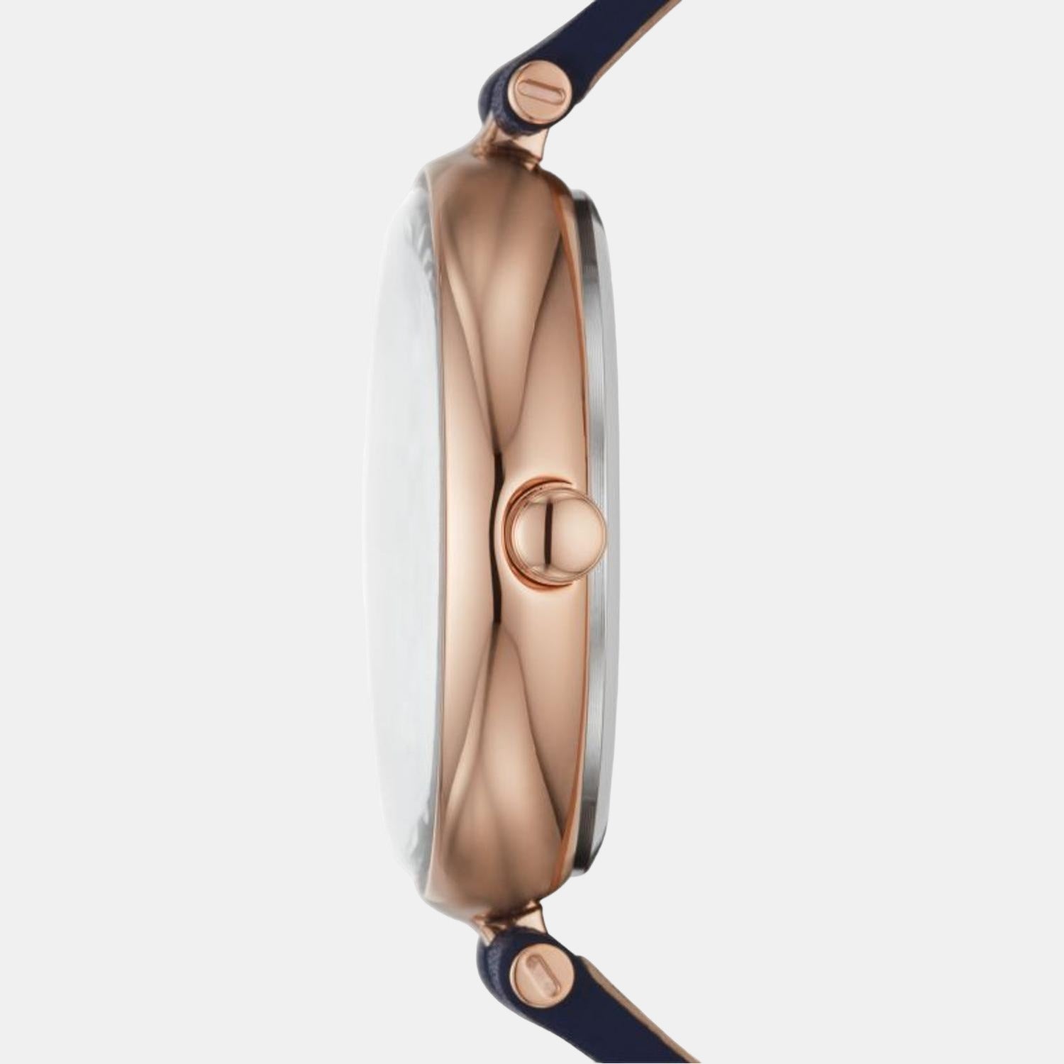 Skagen Women Round Mother Of Pearl watch