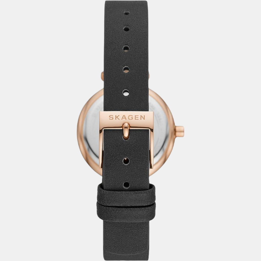 Skagen Stainless Steel Round watch