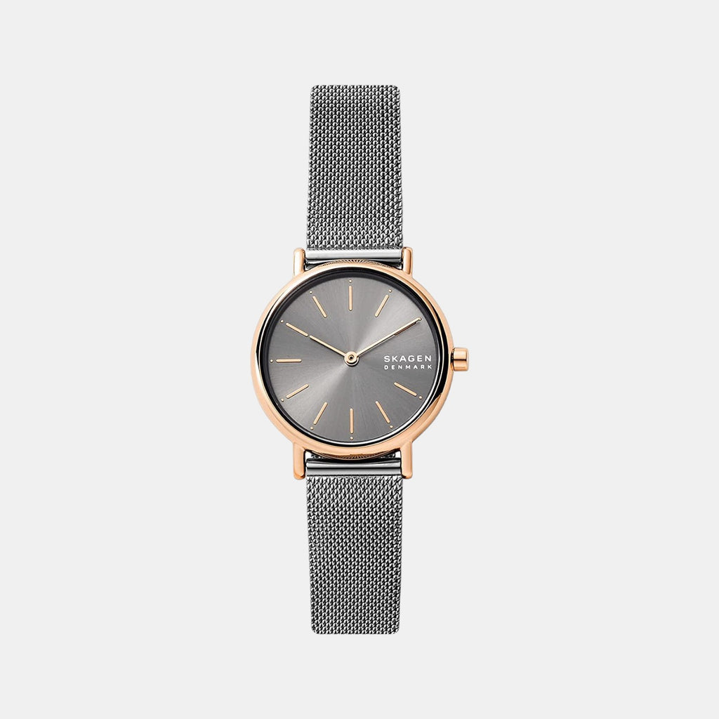 Skagen Round Grey Analog watch