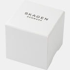 Skagen Stainless Steel Grey watch