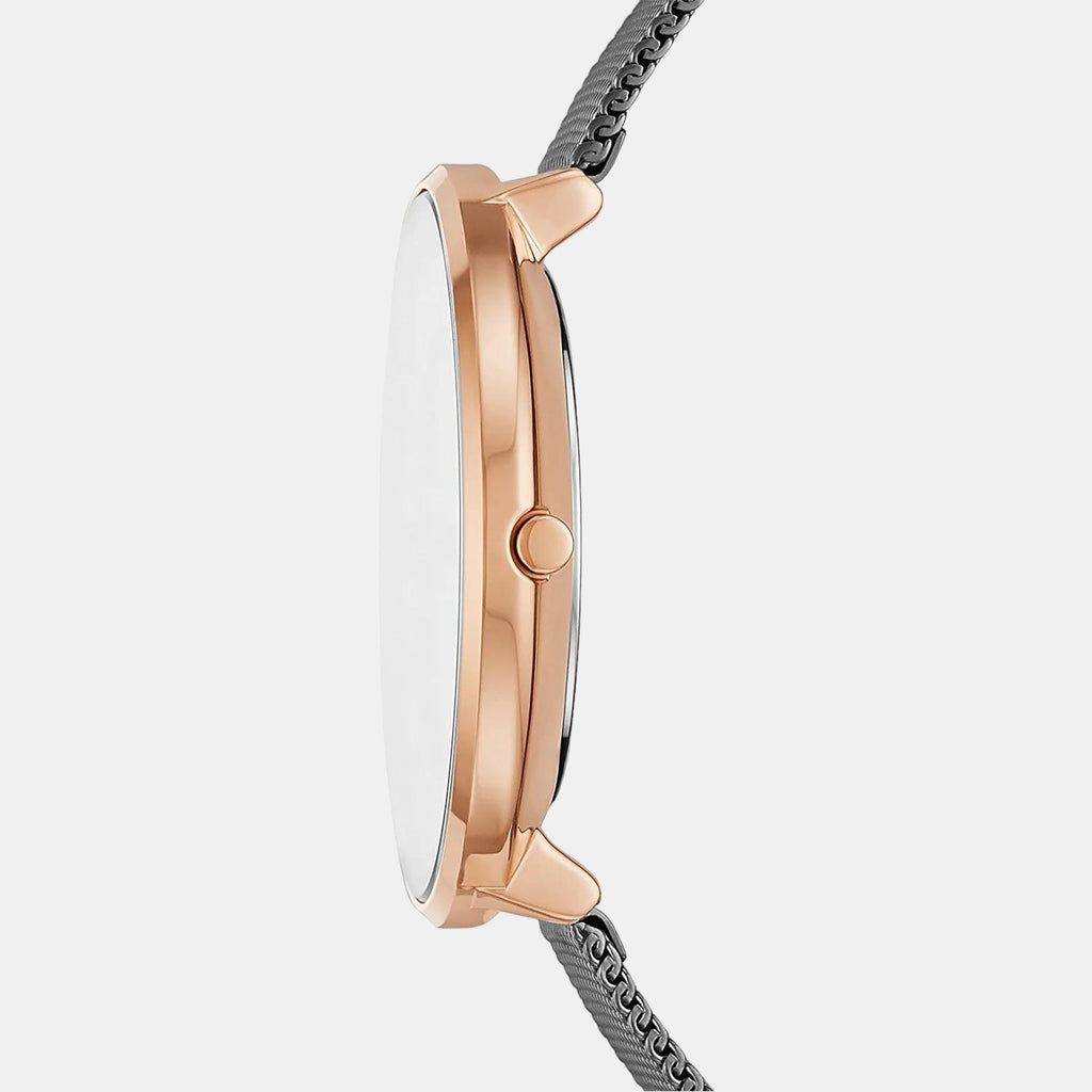 Skagen 38 mm Round Quartz watch