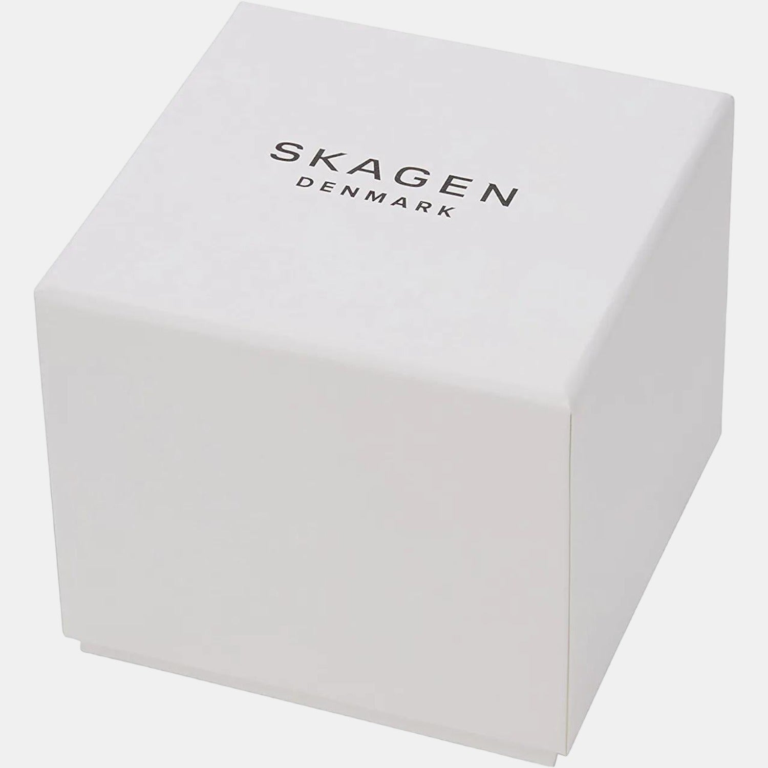 Skagen Stainless Steel Grey watch