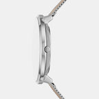 Skagen 38 mm Round Quartz watch