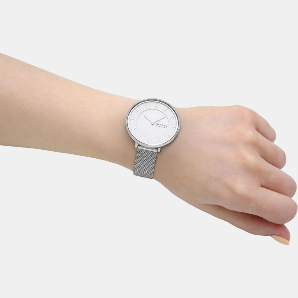 Skagen Stainless Steel Round watch