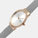 Skagen Stainless Steel Silver watch