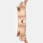 Skagen 34 mm Round Solar watch