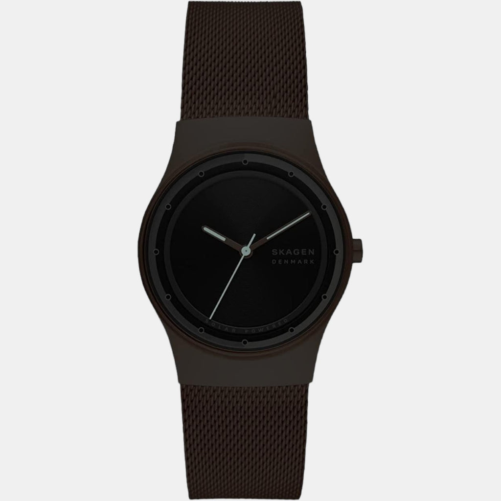 Skagen Stainless Steel Black watch