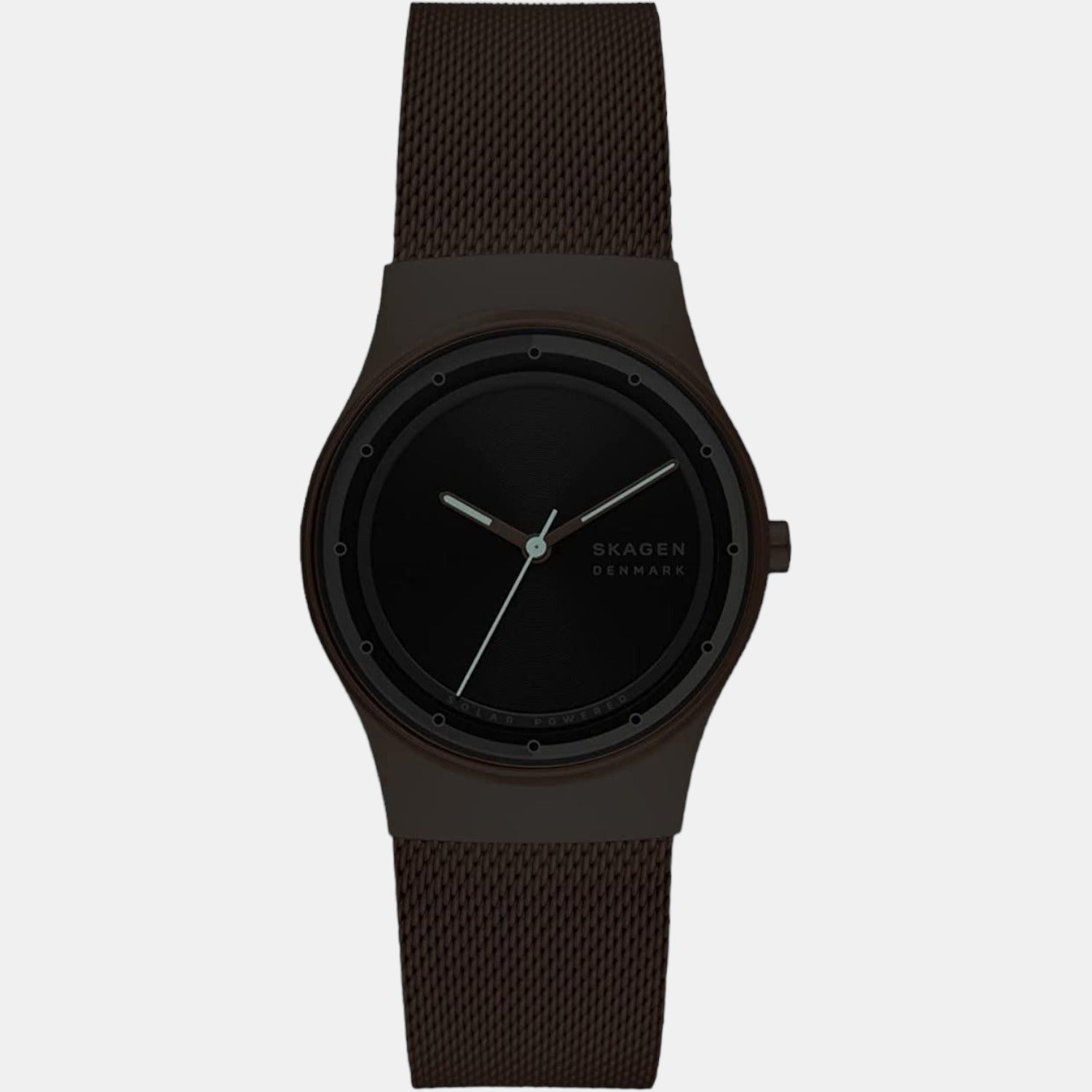 Skagen Stainless Steel Black watch