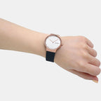 Skagen Stainless Steel Round watch