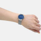 Skagen Stainless Steel Round watch