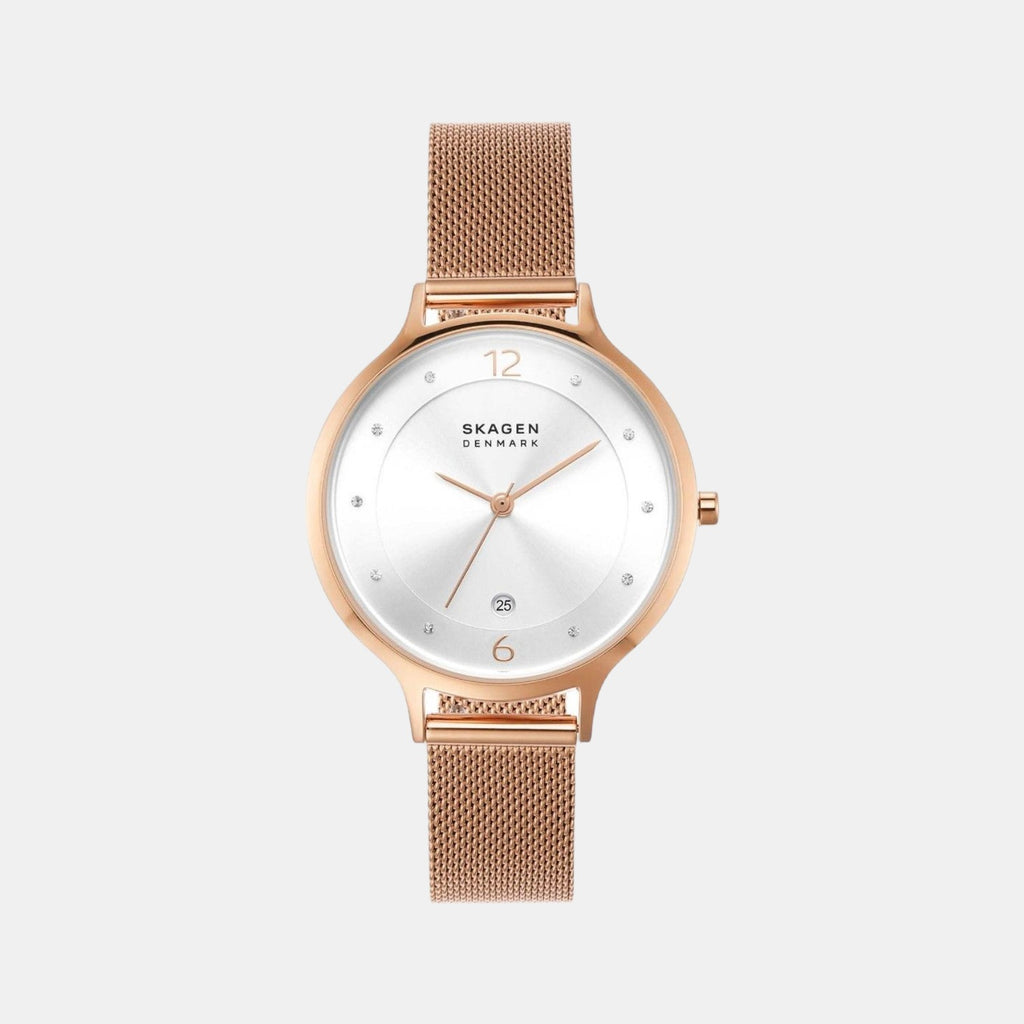 Skagen Round Silver Analog watch