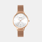 Skagen Round Silver Analog watch