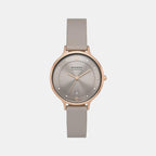 Skagen Round Grey Analog watch
