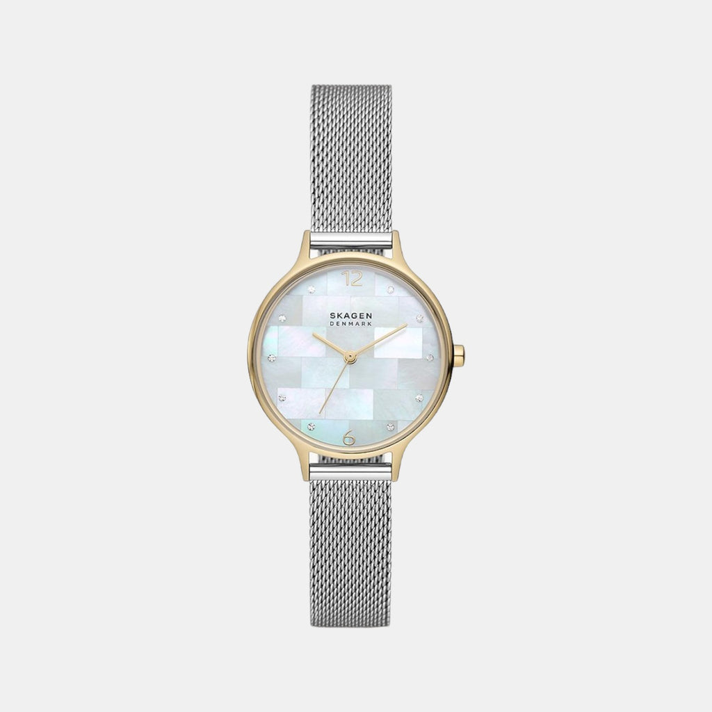 Skagen Round Two Tone Analog watch
