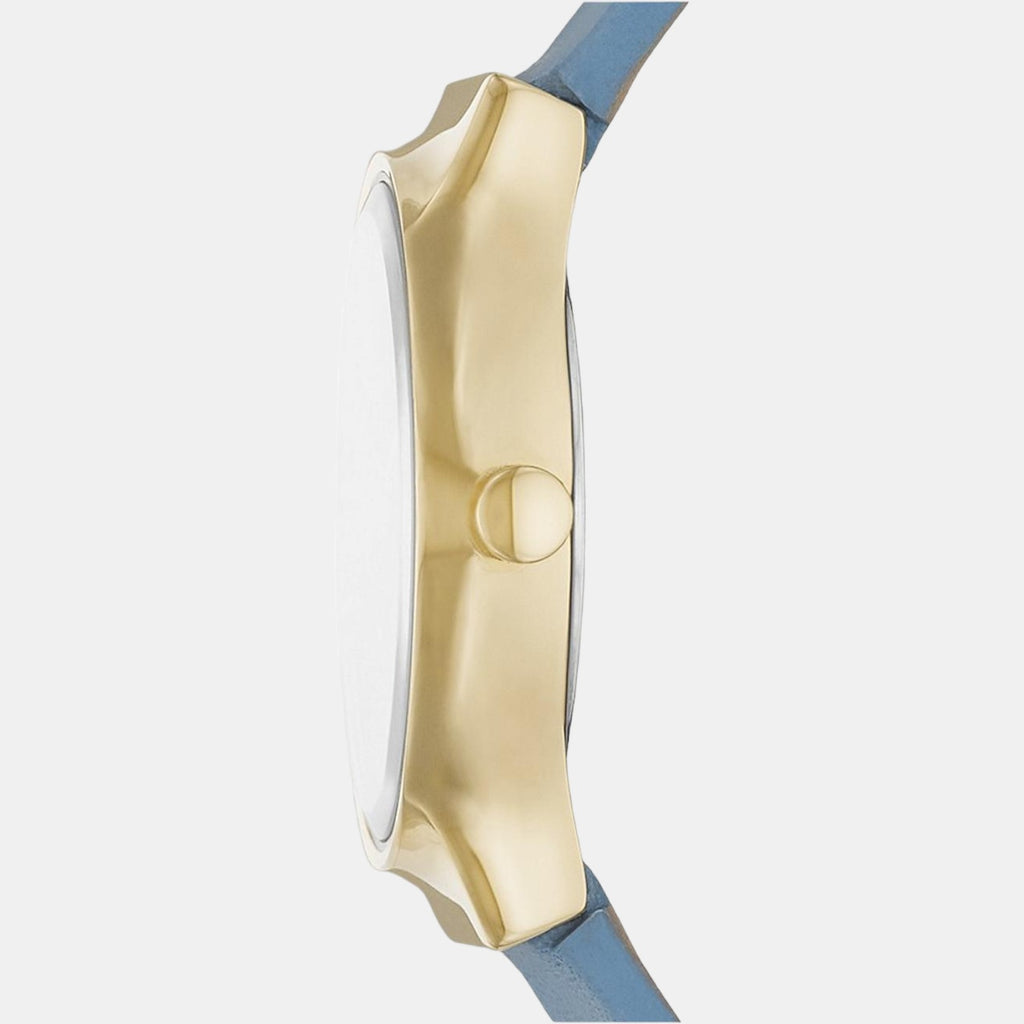 Skagen Stainless Steel Round watch