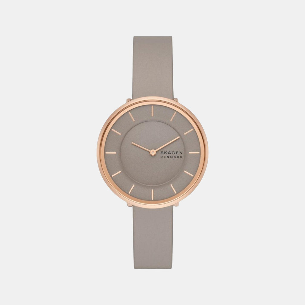 Skagen Round Grey Analog watch