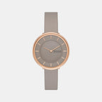 Skagen Round Grey Analog watch