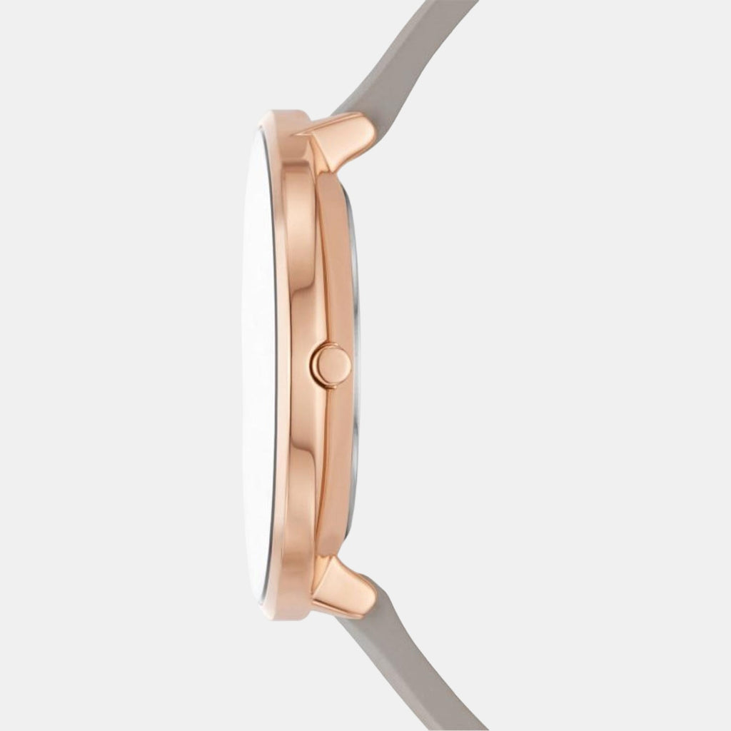 Skagen 38 mm Round Quartz watch