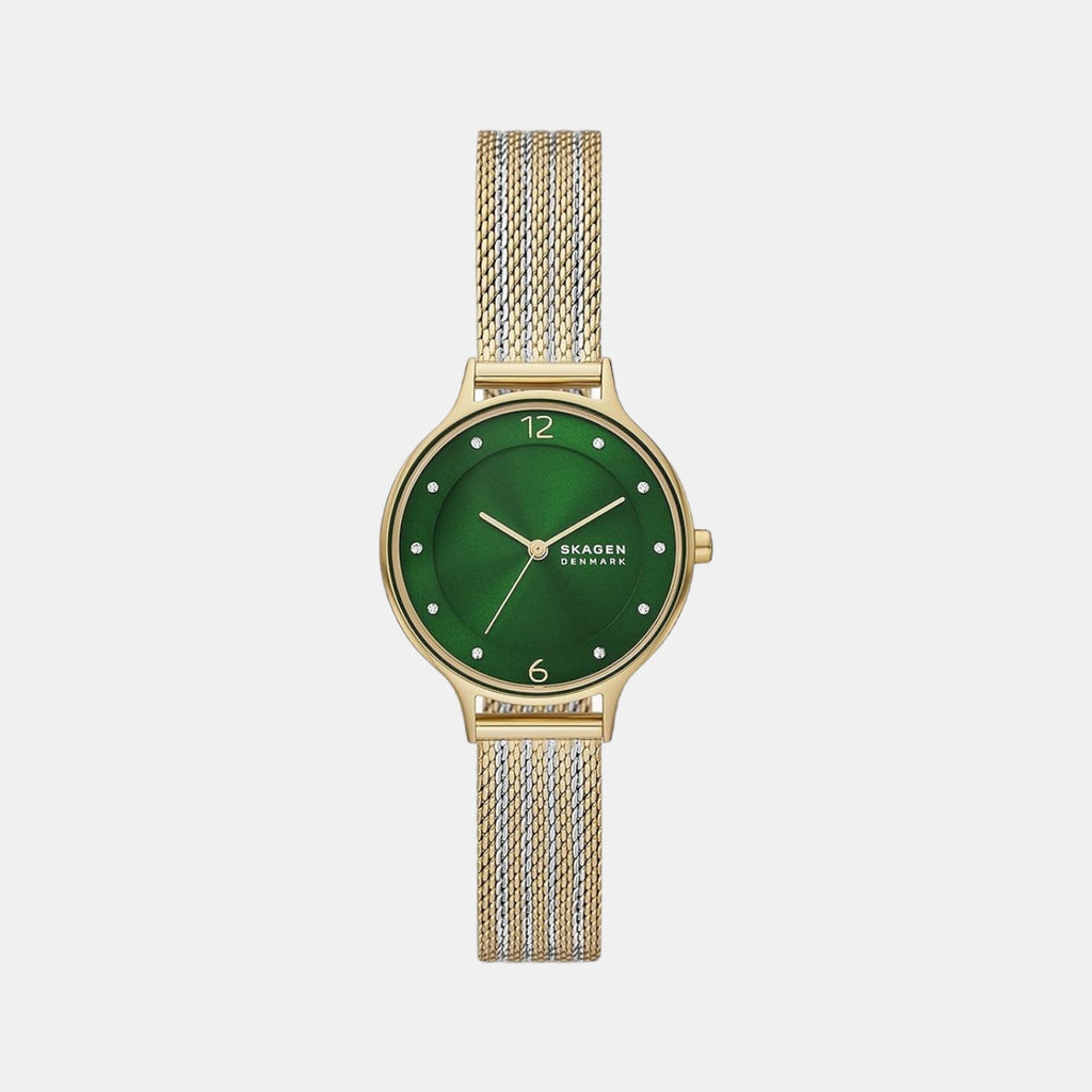 Skagen Round Green Analog watch