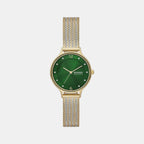 Skagen Round Green Analog watch