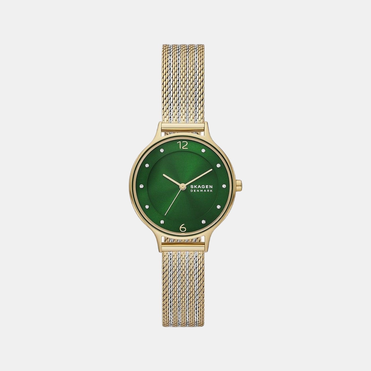 Skagen Round Green Analog watch