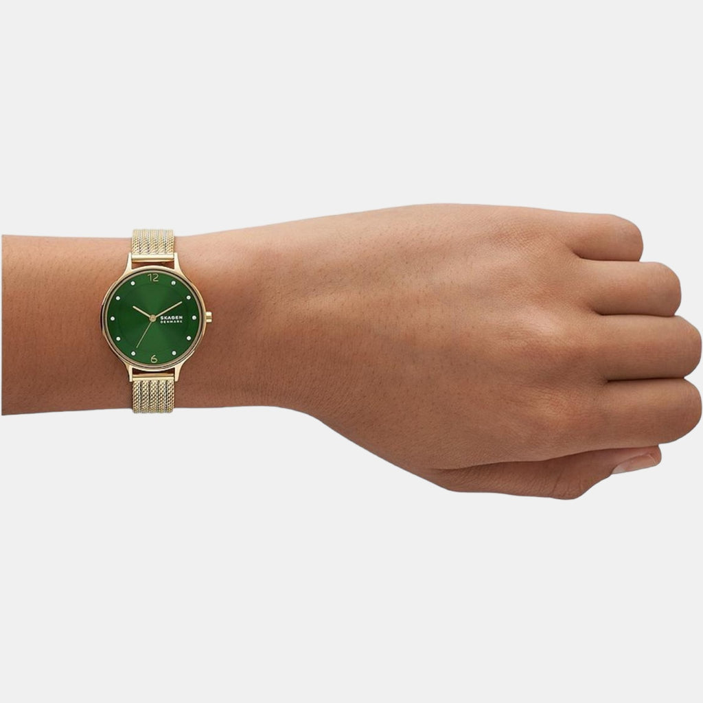 Skagen Stainless Steel Round watch