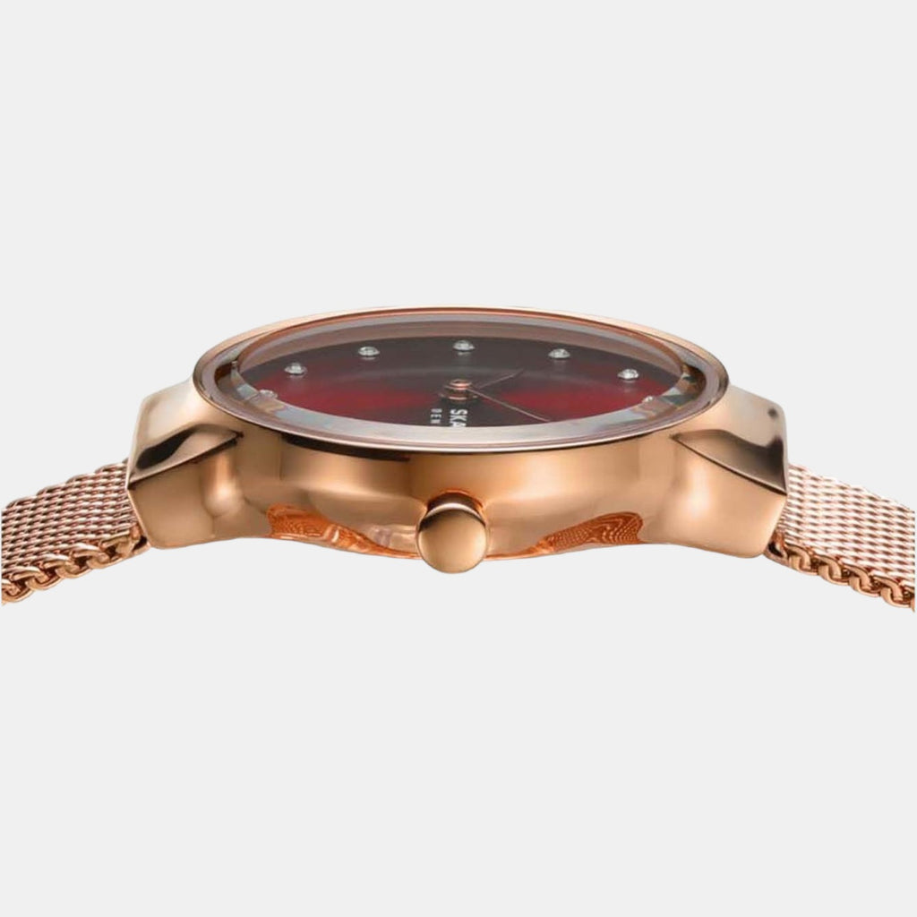 Skagen Stainless Steel Round watch