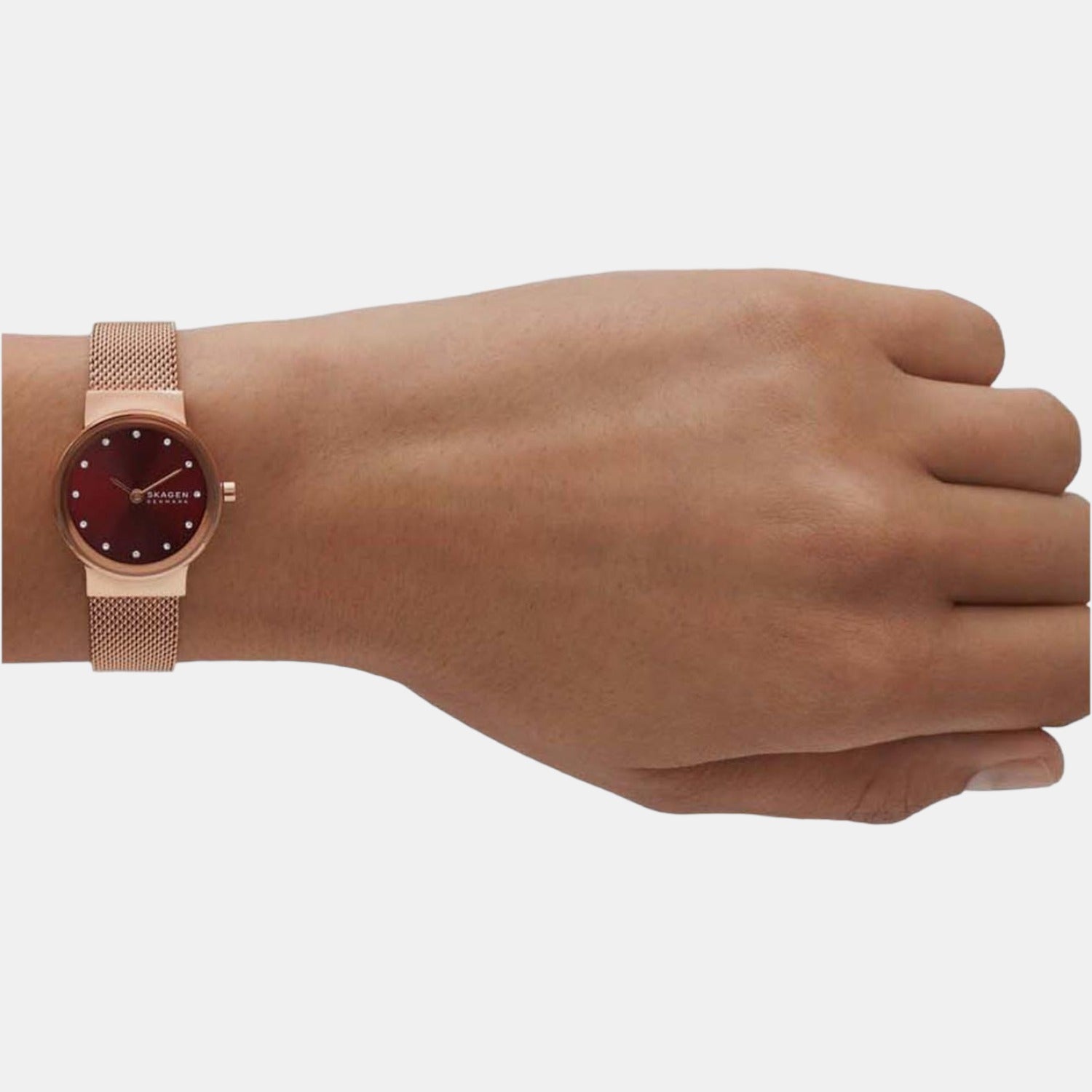 Skagen Stainless Steel Red watch